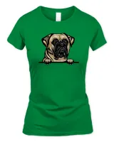 Women's Soft Style Fitted T-Shirt Women's Soft Style Fitted T-Shirt