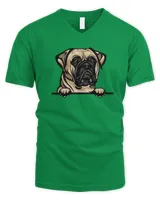 Men's V-Neck T-Shirt Men's V-Neck T-Shirt