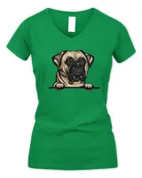 Women's V-Neck T-Shirt Women's V-Neck T-Shirt